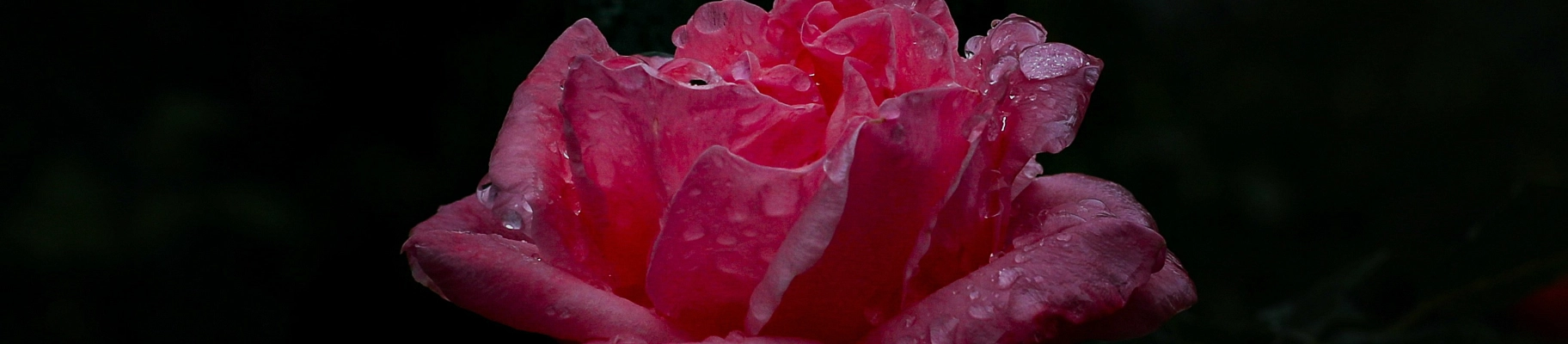 Страх. Остановиться и посмотреть прямо туда, куда обычно не хочется смотреть