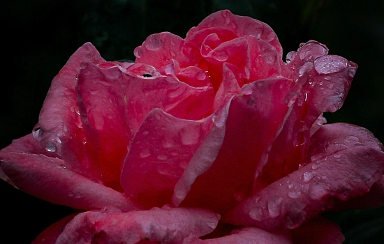 Страх. Остановиться и посмотреть прямо туда, куда обычно не хочется смотреть