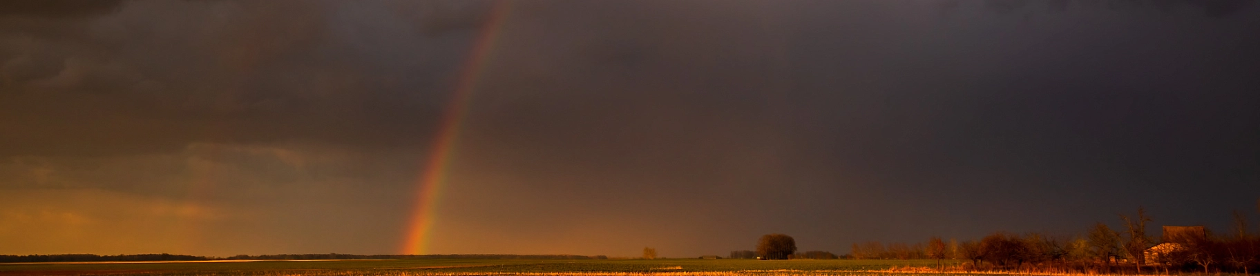 5 проблем и 5 книг-решений