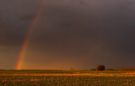 5 проблем и 5 книг-решений