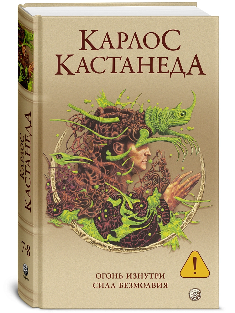 Огонь изнутри. Сила безмолвия изображение 2