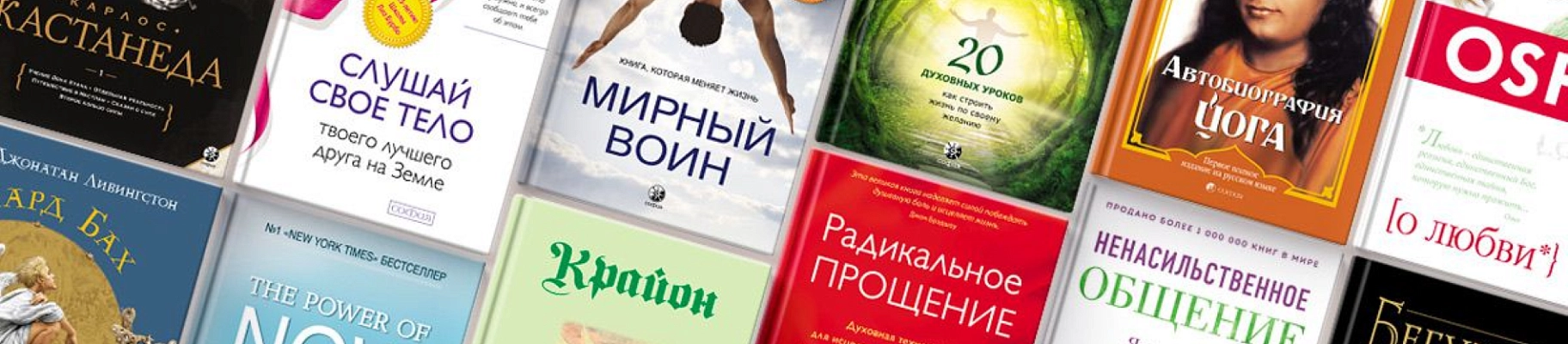 12 книг «Софии», которые меняют жизнь