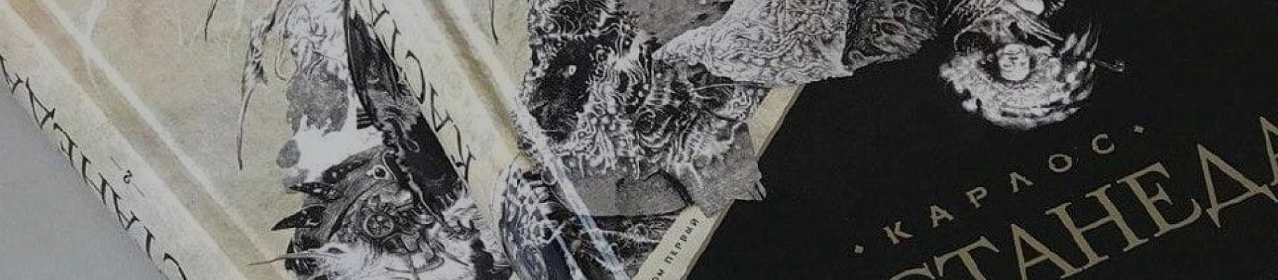 С днем рождения, Кастанеда!