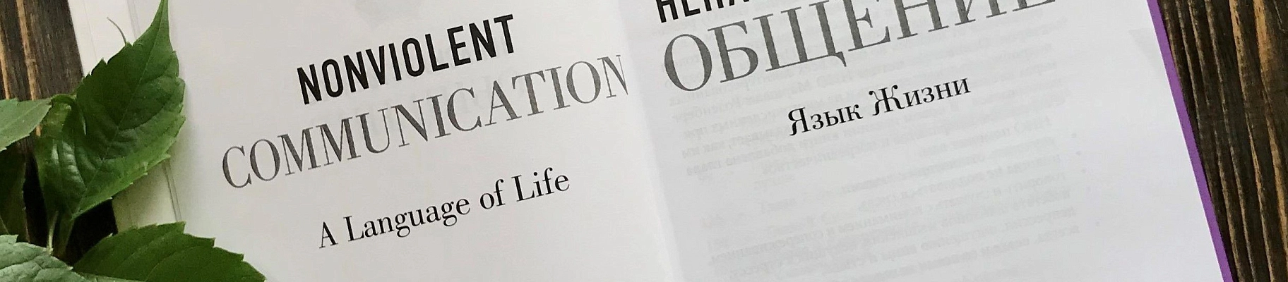 «Каждый раз, когда мы что-то говорим другому человеку, мы чего-то хотим в ответ». Цитаты Маршалла Розенберга