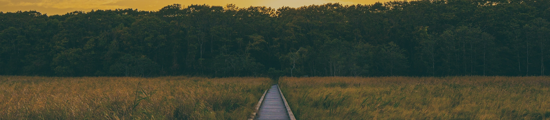 Разрешить людям быть такими, какие они есть