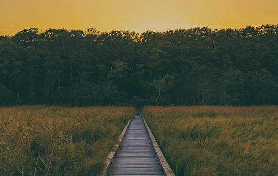 Разрешить людям быть такими, какие они есть