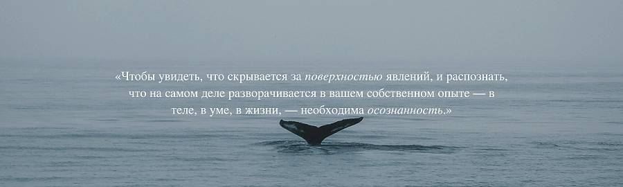 Быть по-настоящему присутствующим в собственной жизни изображение 1